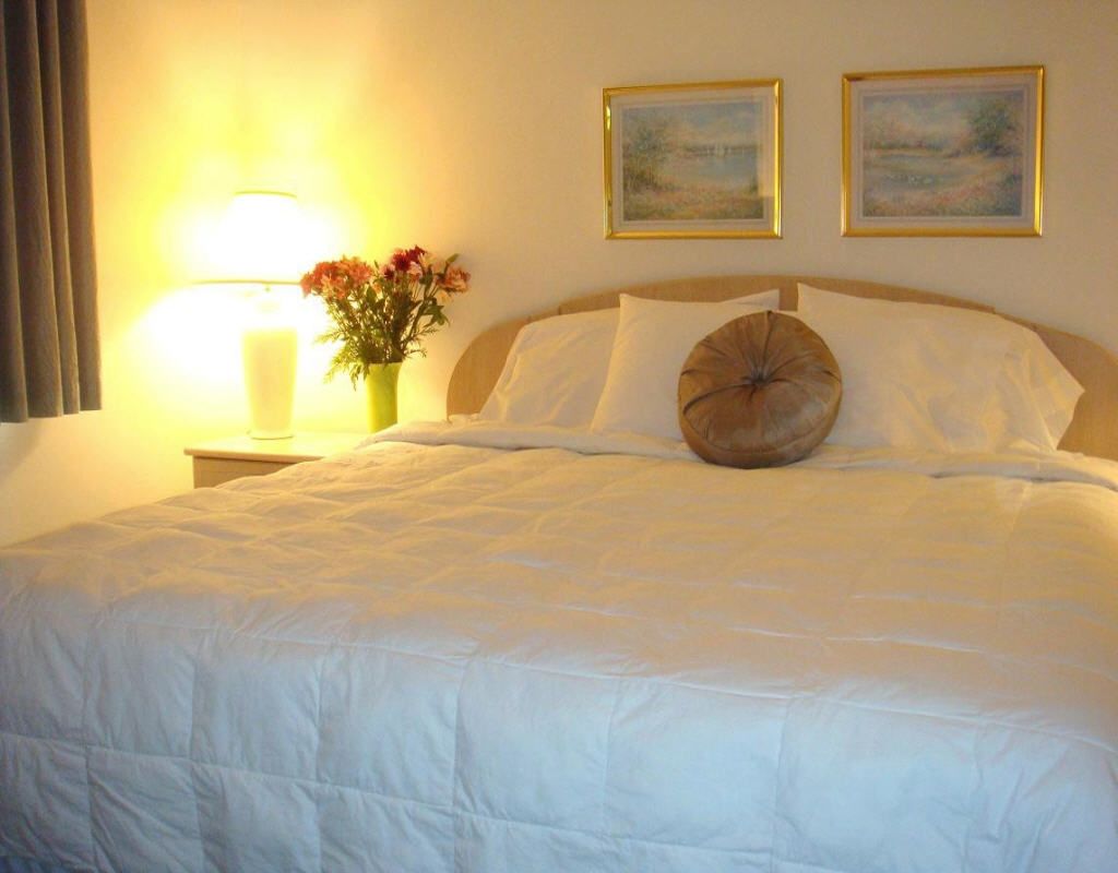 Americas Best Value Inn & Suites - Bluffton Room photo